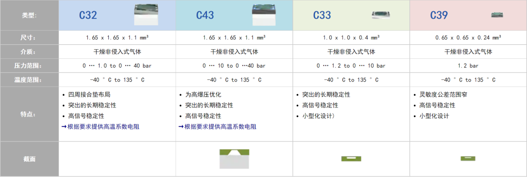 絕對壓力測量 –背側(cè)圖